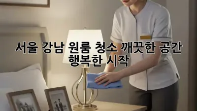 서울 강남 원룸 청소: 깨끗한 공간, 행복한 시작