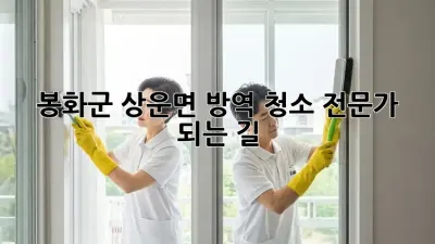 봉화군 상운면 방역 청소 전문가 되는 길